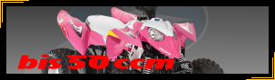 Kinder Quad Transport bis 80 ccm